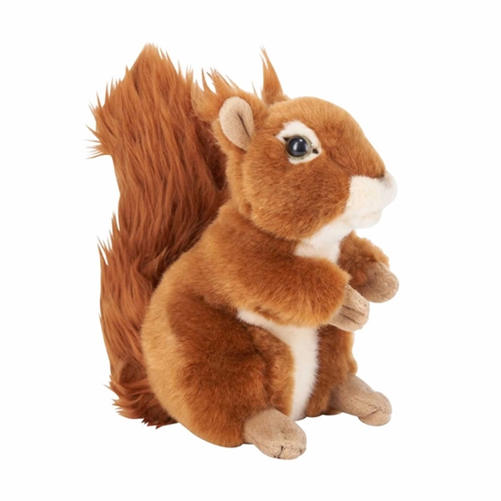 Picture of Mīkstā rot. Vāvere