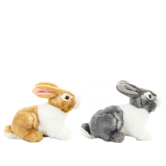 Picture of Mīkstā rot.Zaķis