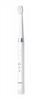 Picture of Panasonic | EW-DM81 | Toothbrush | Rechargeable | For adults | Number of brush heads included 2 | Number of teeth brushing modes 2 | White