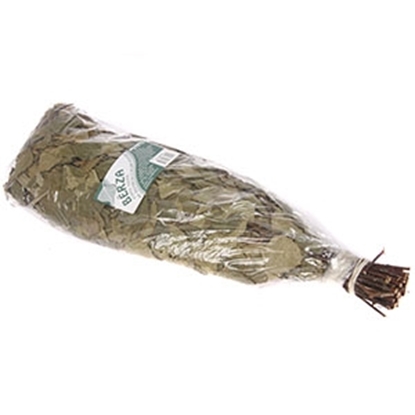 Attēls no Pirts slota bērza ar eikaliptu