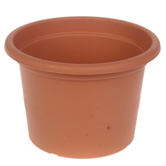 Picture of Puķu pods Campanula 17cm g.brūns