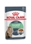Attēls no Royal Canin Digest Sensitive Care - wet cat food - 12x85g