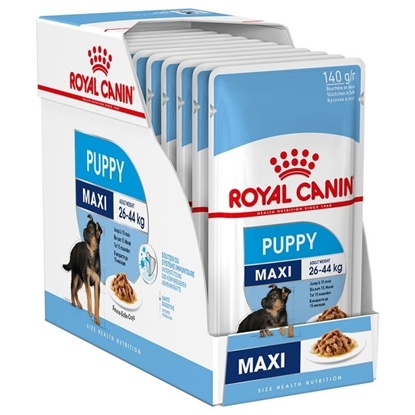 Attēls no Royal Canin Maxi Puppy 10x140g