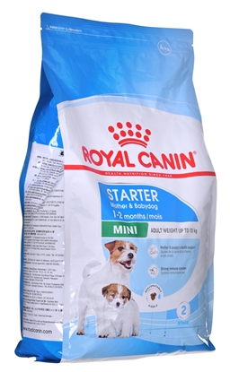 Изображение ROYAL CANIN SHN Mini Starter Mother & Babydog - dry dog food - 4 kg