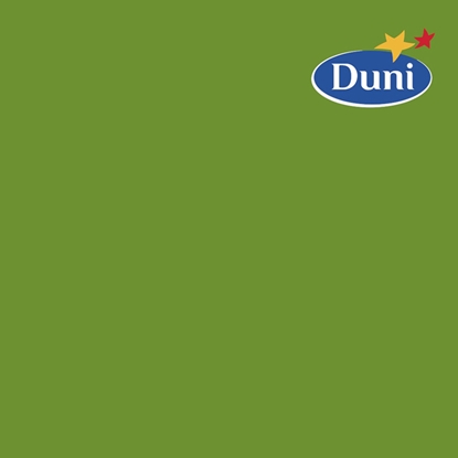 Attēls no Salvetes 24cm Leaf Green 20gab.