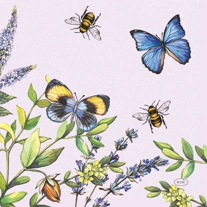 Изображение Salvetes 33cm Cheery Butterflies 20gab.