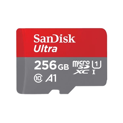 Picture of SanDisk Ultra 256 GB MicroSDXC UHS-I Class 10
