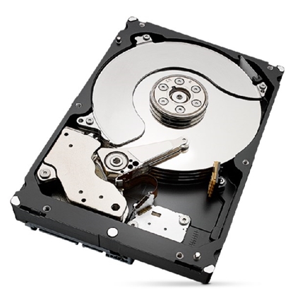 Picture of Seagate IronWolf Pro ST4000NT001 internal hard drive 3.5" 4 TB