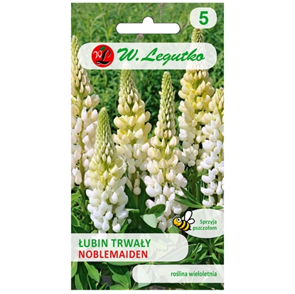 Attēls no Sēklas Lupīnas baltas daudzgadīgas 2g