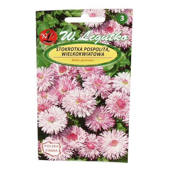 Picture of Sēklas Mārpuķītes lielziedu rozā 0.1g