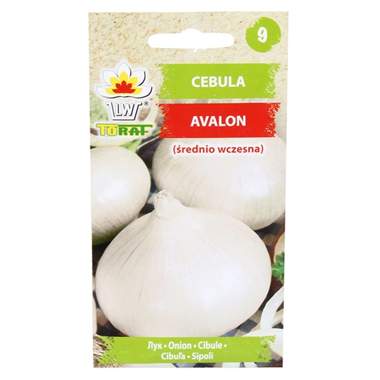 Picture of Sēklas Sīpoli Avalon 3g