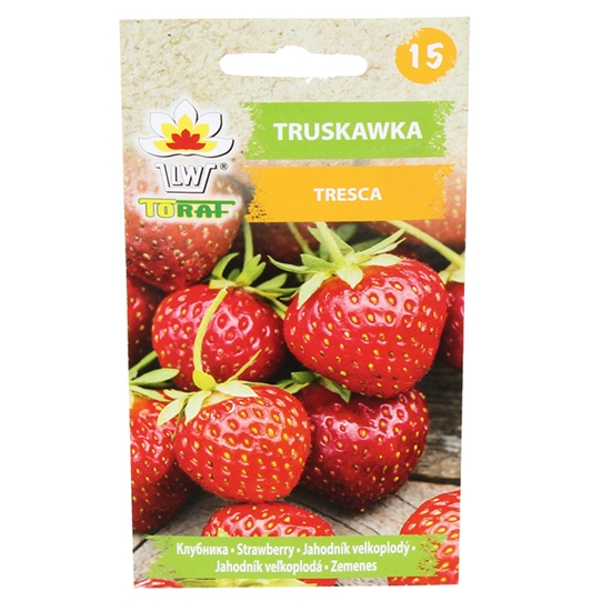 Picture of Sēklas Zemenes Tresca 25-sēklas