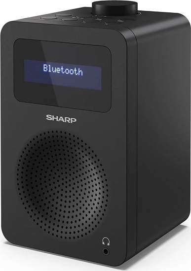 Picture of Sharp DR-430 Personal Digital Black
