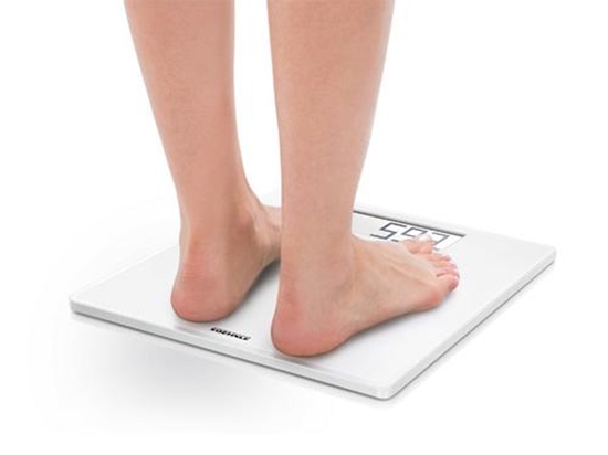 Picture of Soehnle Style Sense Safe 100