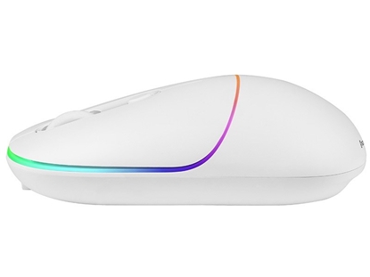 Attēls no Tracer TRAMYS46953 RATERO WHITE RF 2.4 Ghz wireless mouse built-in battery 1600 DPI