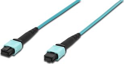 Изображение Digitus Patchcord wiatowodowy MPO - MPO, 50/125, OM3, 1m (DK- 2566- 30/3)