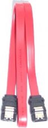 Изображение Digitus SATA - SATA, 0.5m, Czerwony (AKSATA050LIMP)