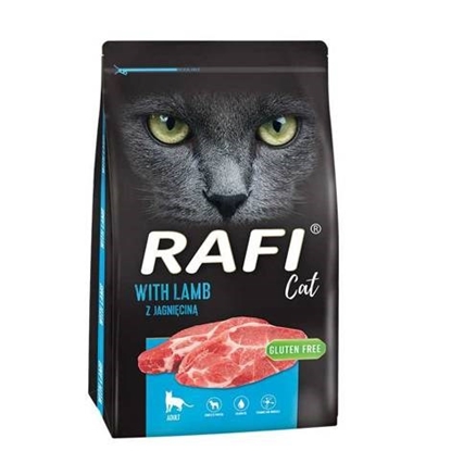 Изображение DOLINA NOTECI Rafi Cat with Lamb - Dry Cat Food - 7 kg