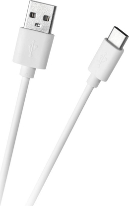 Attēls no Kabel USB Foxconn USB-A - USB-C 1 m Biay (GSM1000W)