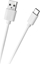 Attēls no Kabel USB Foxconn USB-A - USB-C 1 m Biay (GSM1000W)
