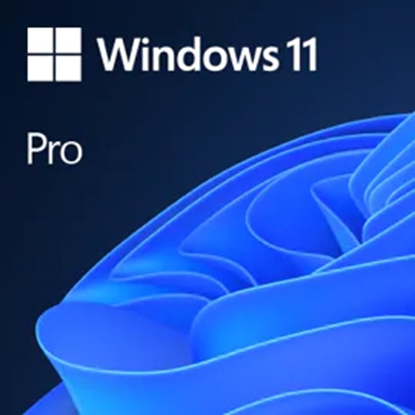 Attēls no Microsoft Windows 11 Pro 1 license(s)