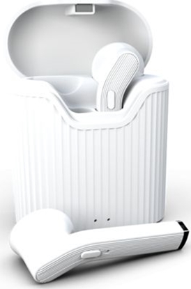 Picture of Suchawki MustHavz Biae