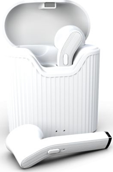 Picture of Suchawki MustHavz Biae