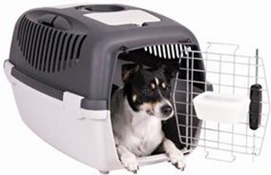 Picture of Zolux Transporter GULLIVER 3 DELUX