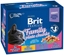 Picture of BRIT Cat Pouches Family Plate - wet cat food - 12 x 100g