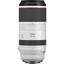 Picture of Canon RF 100-500mm F4.5-7.1L IS USM Lens