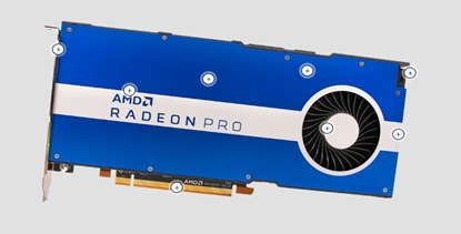 Изображение AMD Pro W5500 Radeon Pro W5500 8 GB GDDR6