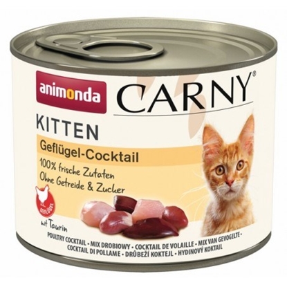 Attēls no ANIMONDA Carny Kitten Poultry Cocktail - wet cat food - 200g