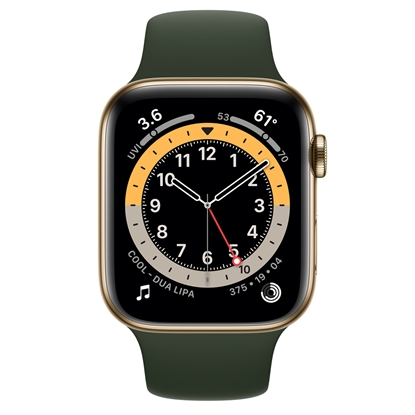 Attēls no Apple Watch Series 6 44mm Stainless steel GPS+Cellular Gold (lietots, stāvoklis A)
