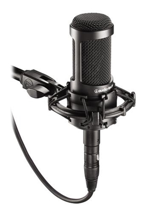 Picture of Audio-Technica AT2035 microphone