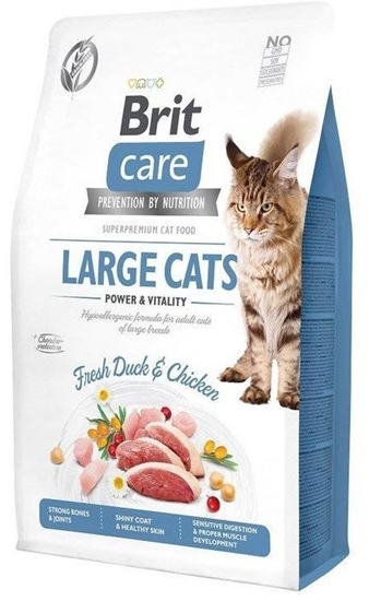 Picture of BRIT Care Grain-Free Adult Large Cats - dry cat food - 2 kg