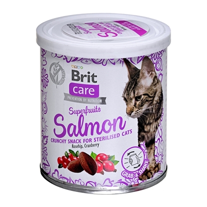 Attēls no BRIT Care Superfruits Salmon - cat treats - 100 g