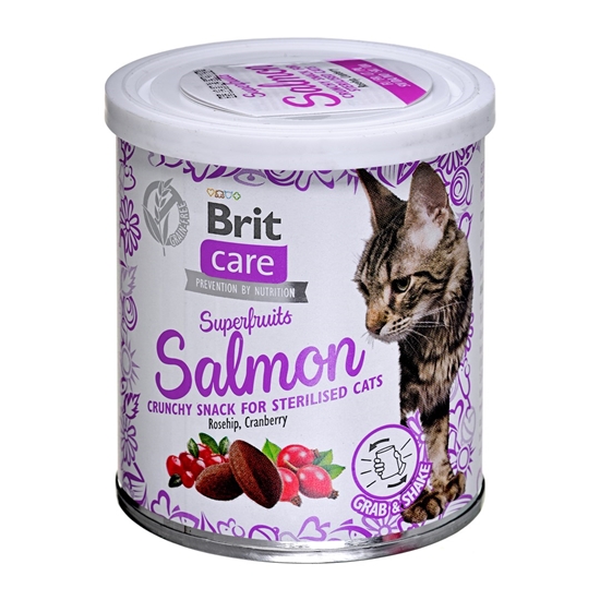 Изображение BRIT Care Superfruits Salmon - cat treats - 100 g