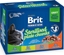 Attēls no BRIT Premium Cat Sterilised Plate - wet cat food - 12x100g