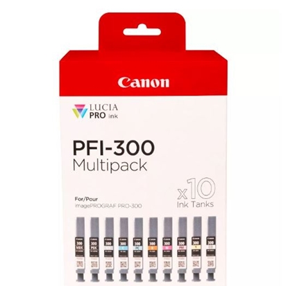 Изображение Canon PFI-300 Multipack MBK/PBK/C/M/Y/PC/PM/R/GY/CO