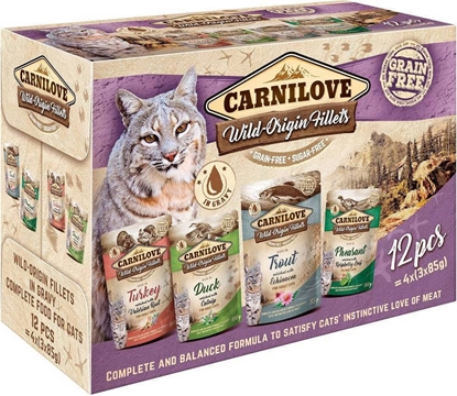 Picture of CARNILOVE Cat Wild Origin Fillets - wet cat food - 12x85g