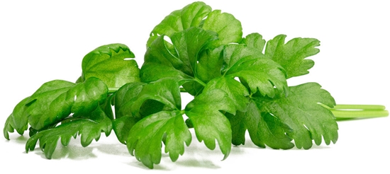 Изображение Click & Grow Smart Garden Refill Leaf Celery 3pcs