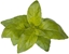 Attēls no Click & Grow Smart Garden refill Lime Basil 3pcs