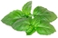 Picture of Click & Grow Smart Garden refill Marseille Basil 3pcs