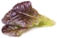 Изображение Click & Grow Smart Garden refill Red Lettuce 3pcs