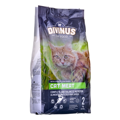 Изображение DIVINUS Cat Meat - dry cat food - 2 kg