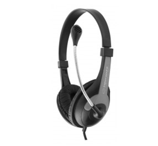 Picture of Esperanza EH158K headphones/headset Head-band Black, Grey
