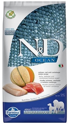 Изображение FARMINA N&D Ocean Dog Salmon, Cod, Cantaloupe, Melon Adult Medium&Maxi - dry dog food - 12 kg
