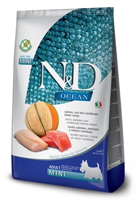 Picture of FARMINA N&D Ocean Dog Salmon, Cod, Cantaloupe, Melon Adult Mini - dry dog food - 2.5 kg