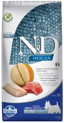 Изображение FARMINA N&D Ocean Dog Salmon, Cod, Cantaloupe, Melon Adult Mini - dry dog food - 7 kg