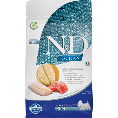Изображение FARMINA N&D Ocean Dog Salmon, Cod, Cantaloupe, Melon Adult Mini - dry dog food - 800 g